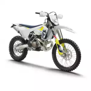 TE 300I
